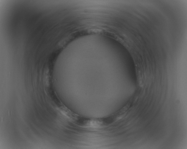 X0000081380223200702090020