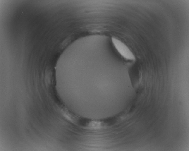 X0000081380227200702090020