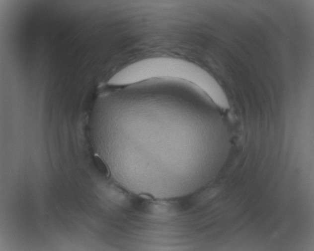 X0000081380229200702090020