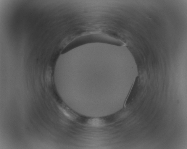 X0000081380231200702090020