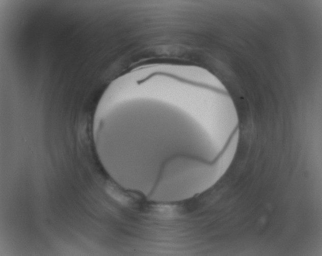 X0000081380233200702090020