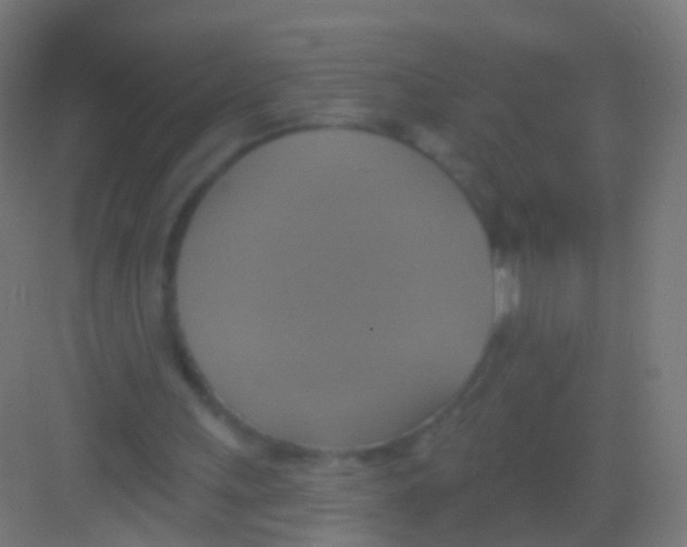 X0000081380243200702090019