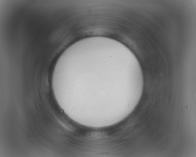 X0000081380251200702090019