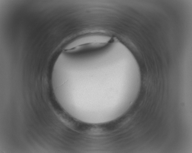 X0000081380256200702090019
