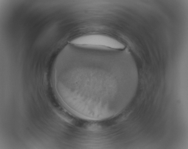 X0000081380258200702090019
