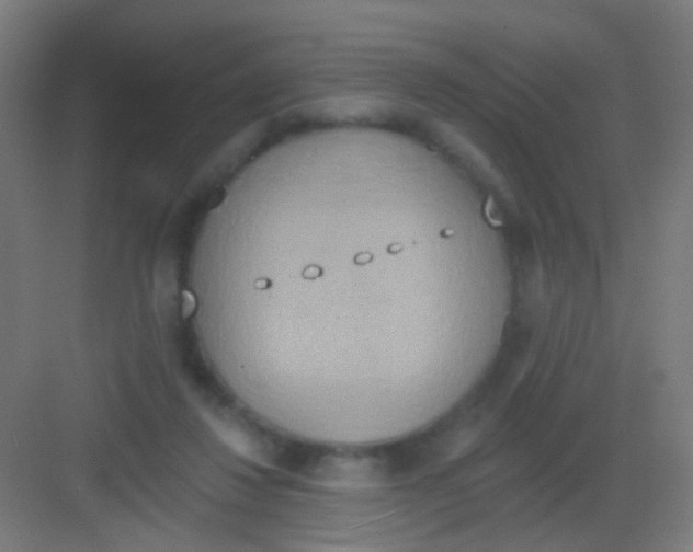 X0000081380260200702090019