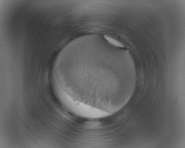 X0000081380266200702090020
