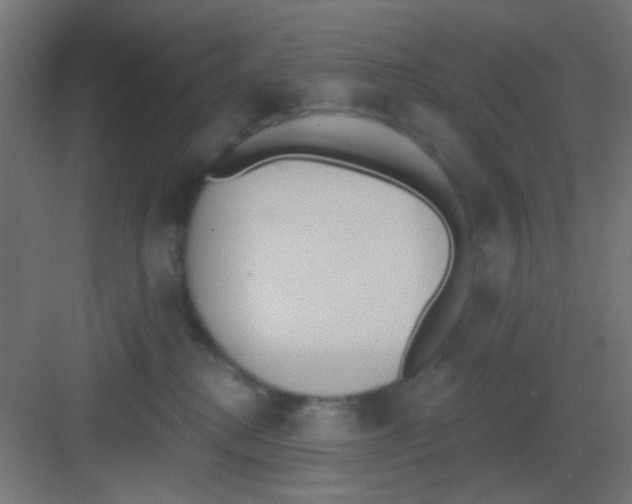 X0000081380280200702090020
