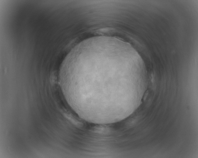 X0000081380284200702090020