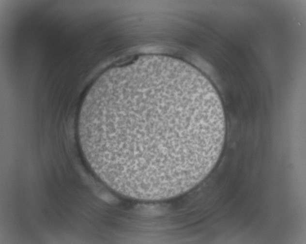 X0000081380297200702090019