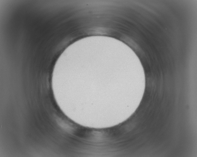 X0000081380302200702090019