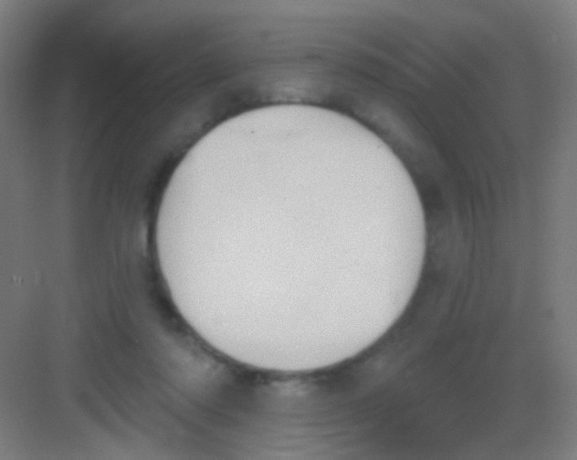 X0000081380310200702090019