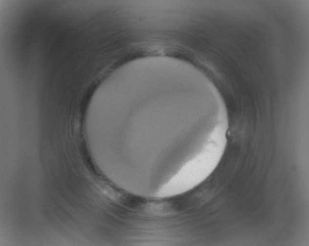 X0000081380314200702090019