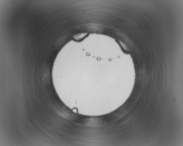 X0000081380320200702090019