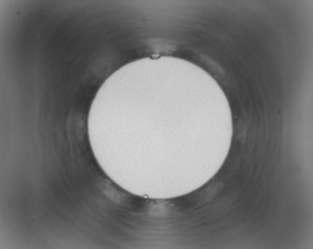 X0000081380321200702090019