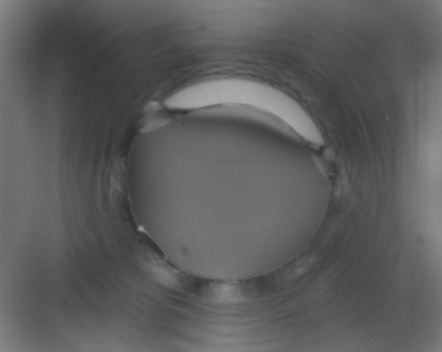 X0000081380325200702090018