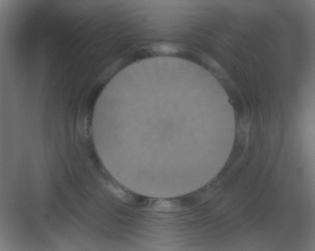 X0000081380330200702090018