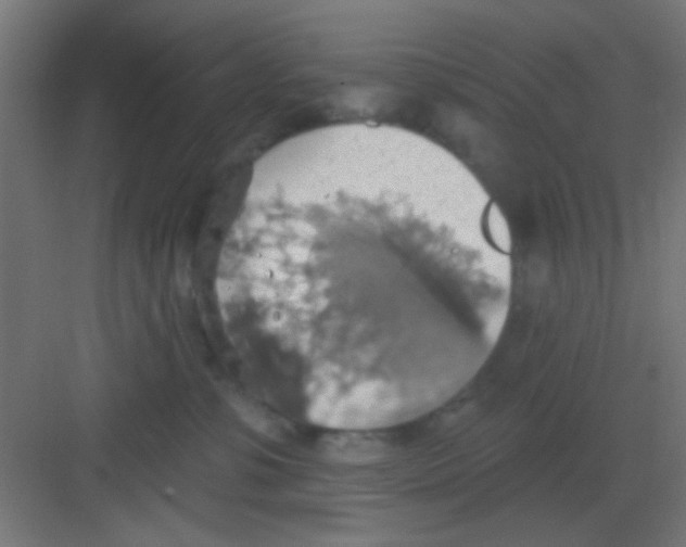 X0000081380331200702090018