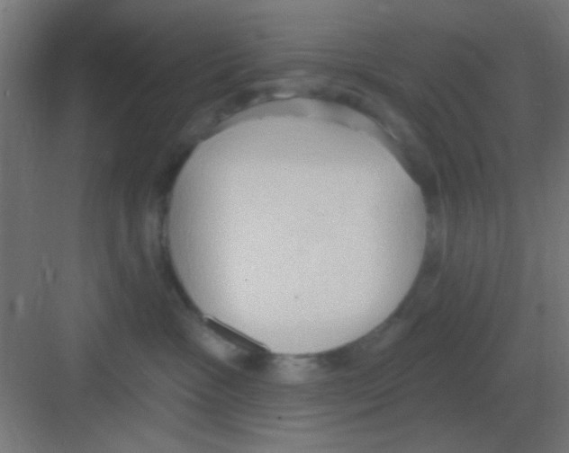X0000081380333200702090018