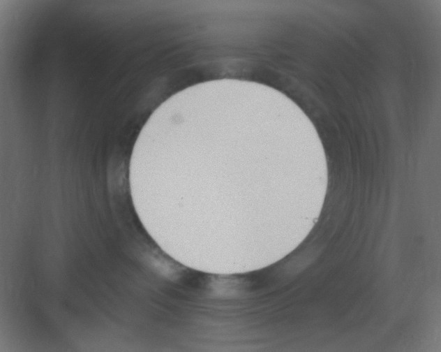 X0000081380336200702090018