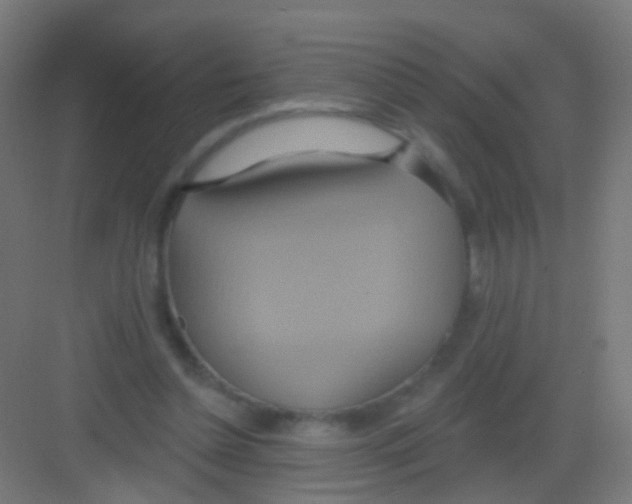 X0000081380348200702090018