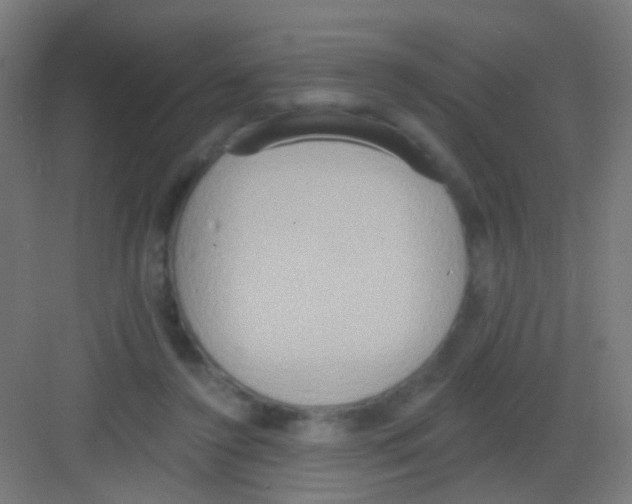 X0000081380356200702090018
