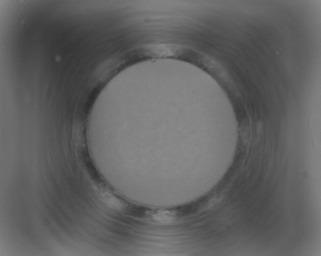 X0000081380359200702090018