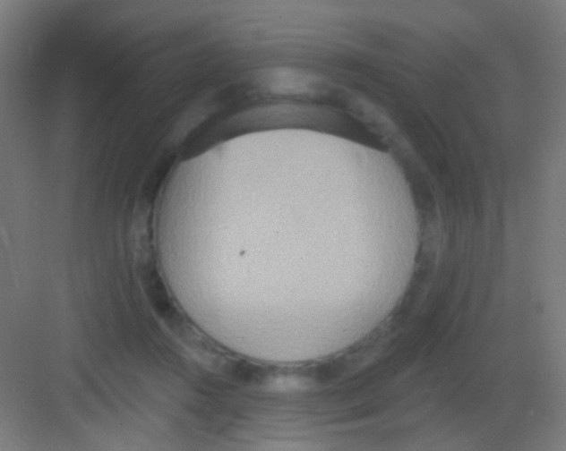 X0000081380360200702090018