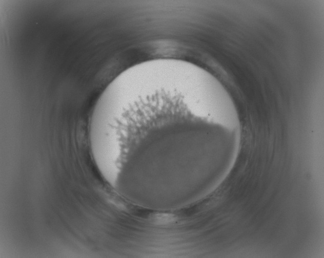 X0000081380361200702090018