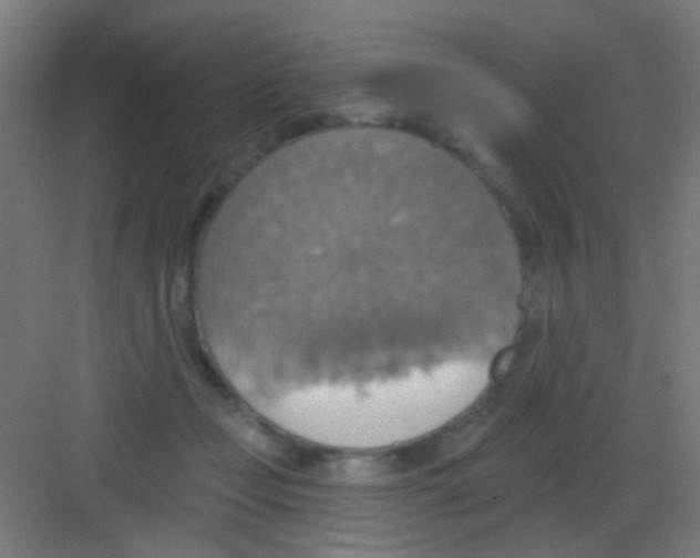 X0000081380365200702090018