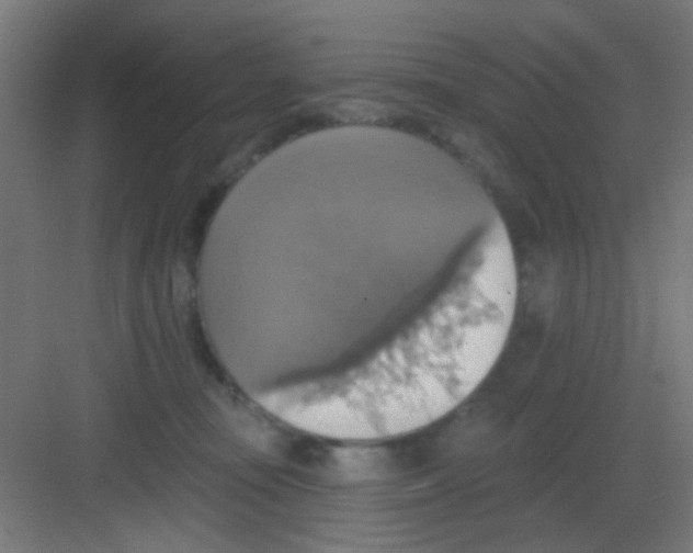 X0000081380371200702090018