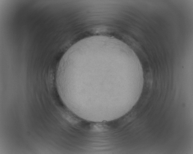 X0000081380372200702090018