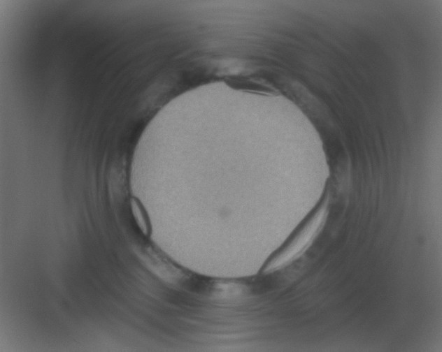 X0000081380376200702090018