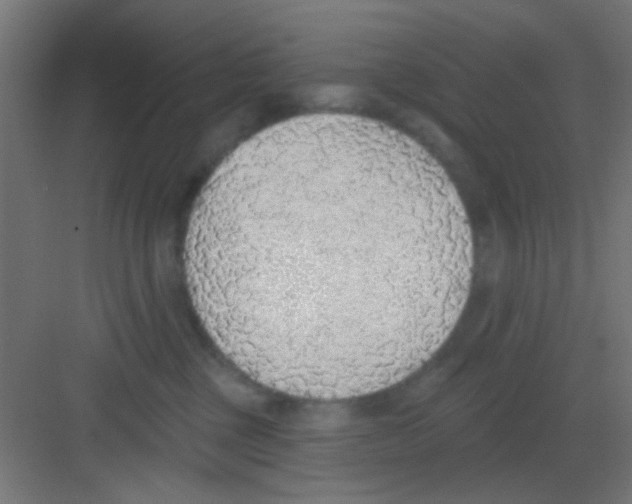 X0000081380377200702090018
