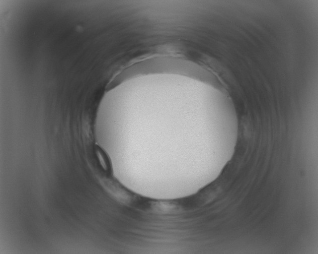 X0000081380380200702090018