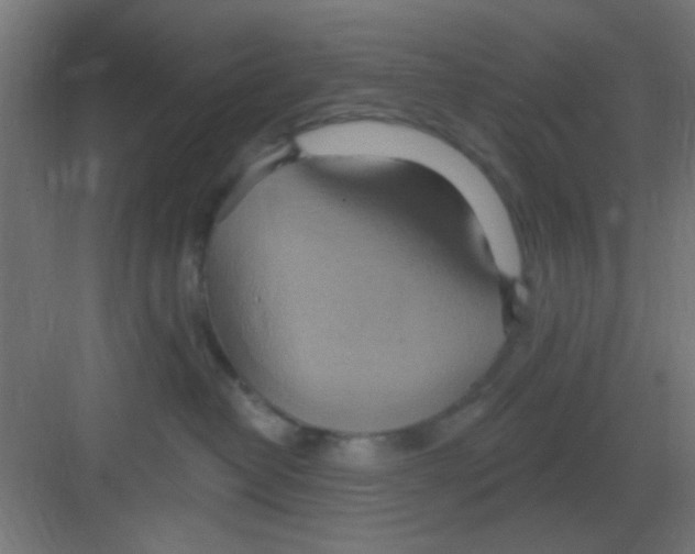 X0000081380382200702090018