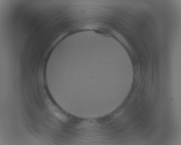 X0000081380386200702090017