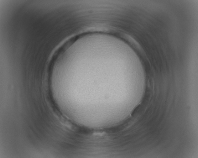 X0000081380388200702090017