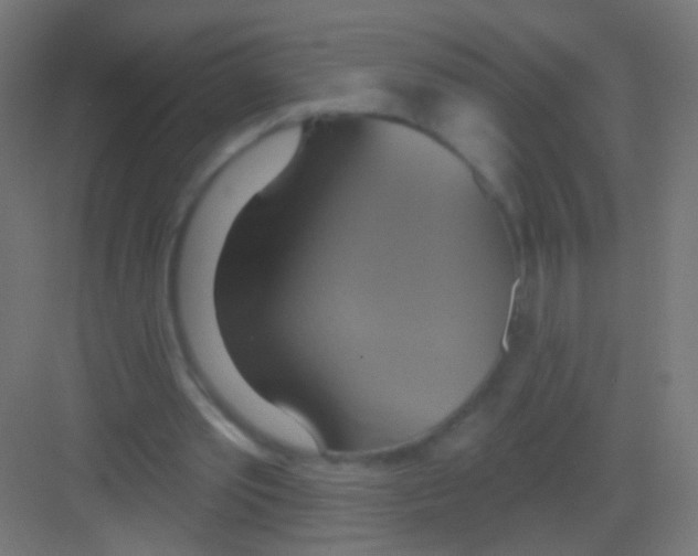 X0000081380389200702090017