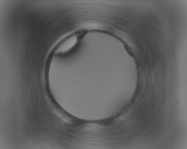 X0000081380391200702090017