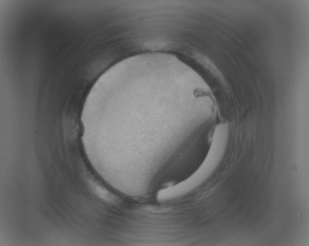 X0000081380393200702090017