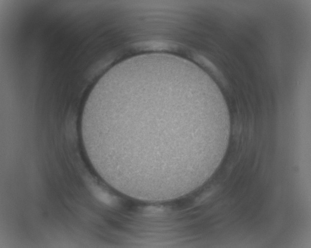 X0000081380394200702090017