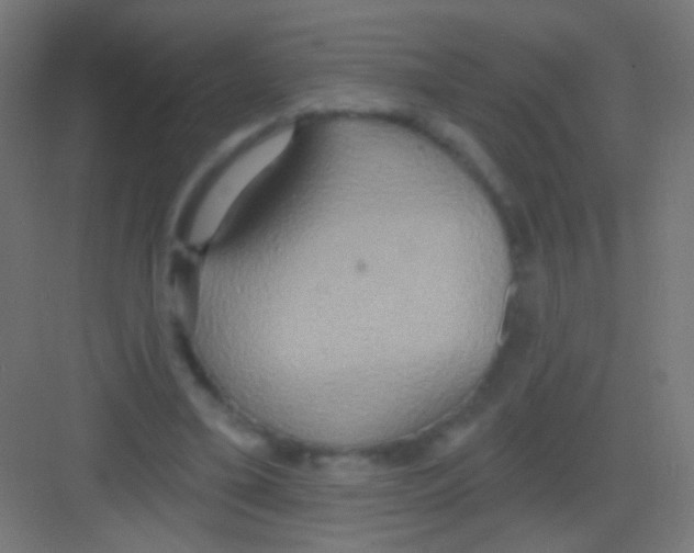 X0000081380395200702090017