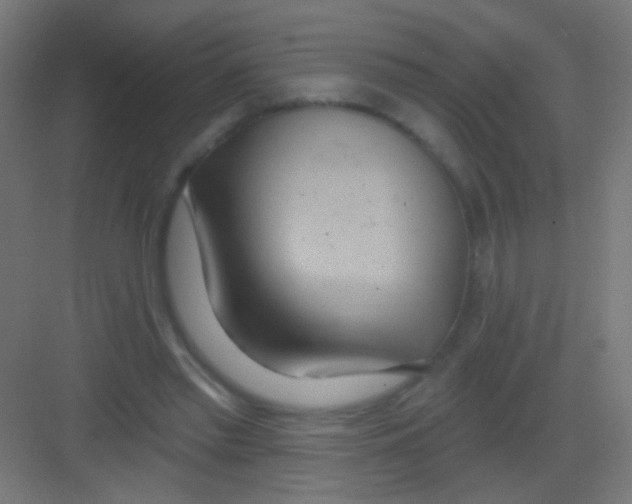 X0000081380397200702090017