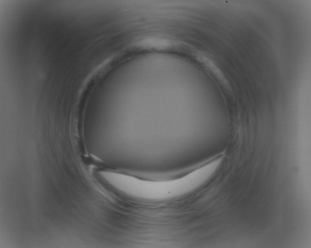 X0000081380399200702090017
