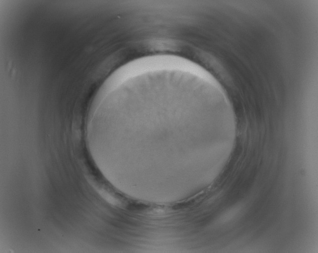 X0000081380402200702090017