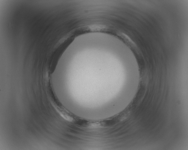 X0000081380405200702090017