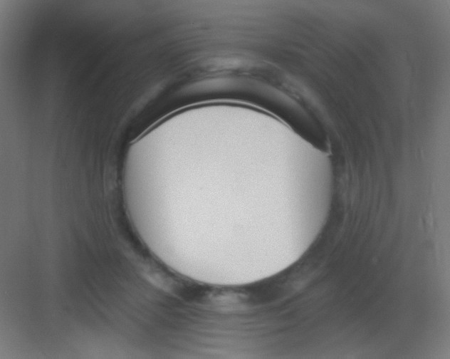 X0000081380407200702090017