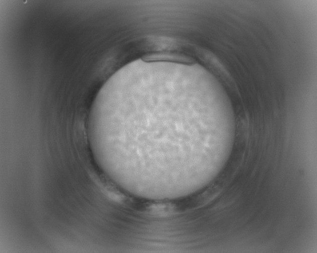 X0000081380415200702090017