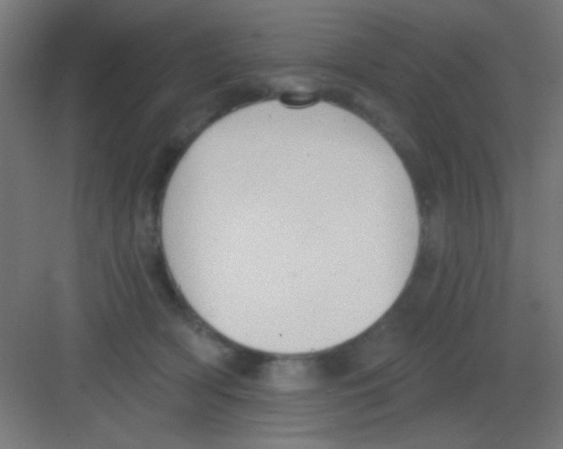 X0000081380418200702090017